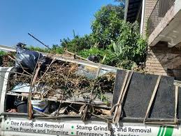 Best Residential Junk Removal  in Welcome, SC