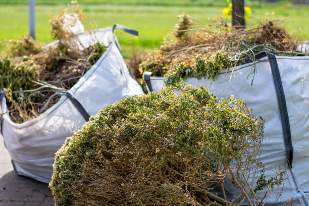 Best Construction Debris Removal  in Welcome, SC